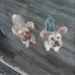 Profile Picture of Debbie Pendock (@debbie.pendock) on Facebook