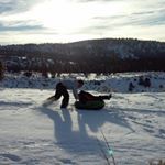 Profile Picture of Alexander Supertramp (@tuttledatoidle) on Instagram