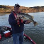 Profile Picture of Steven Craig Hamner (@hamner3) on Instagram