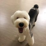 Profile Picture of Oudi_ud! (@oudi_udi) on Instagram