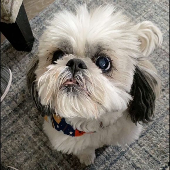 Profile Picture of Lexi Millikin (@am5098) on Poshmark