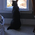 Profile Picture of Luke Erickson (@lukeerickson3767) on Instagram