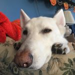 Profile Picture of Patrick Gay (@freeformexpert) on Instagram