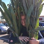 Profile Picture of Michael (@michael.krajci) on Instagram