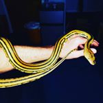 Profile Picture of John Cerefice (@esskater252) on Instagram