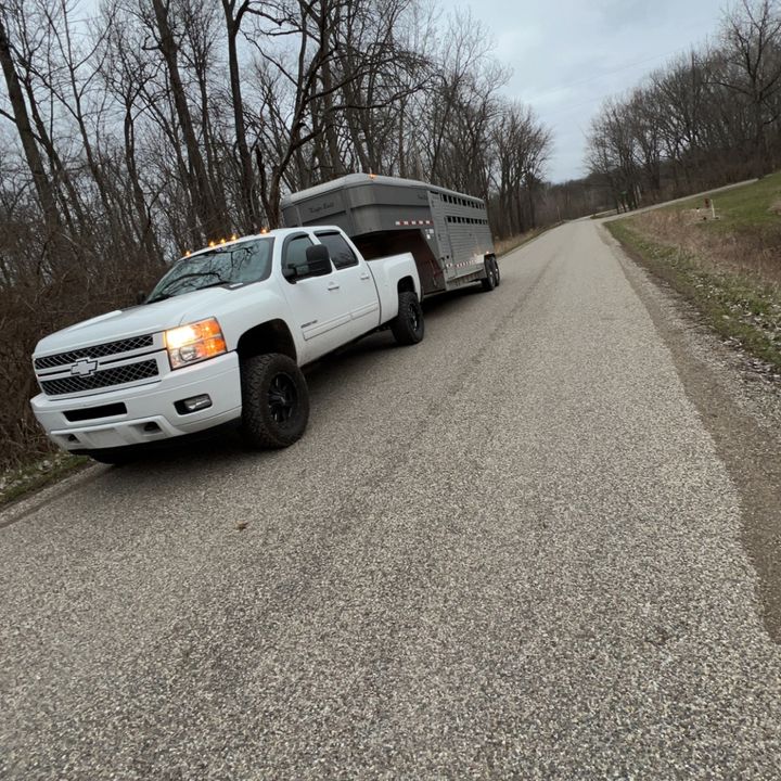 Profile Picture of Kamking1432 (@k1ng320) on Tiktok