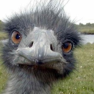 Profile Picture of Bashar Maki (@bigbyte_original) on Myspace