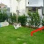 Profile Picture of MilleMus1994 (@@MilleMus1994) on Tiktok