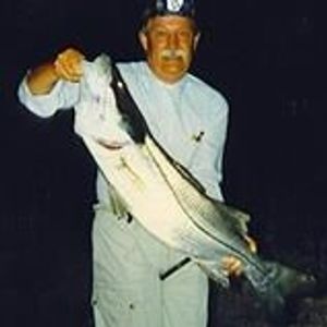 Profile Picture of Marvin Lawrence (@marvin.lawrence.9212) on Myspace