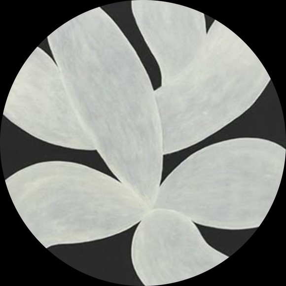 Profile Picture of K. yoko Kubricky (@tsunamidreamer) on Poshmark