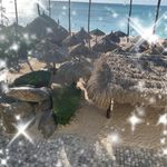 Profile Picture of Lisa Fuschetto (@llostritto316) on Instagram