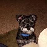 Profile Picture of Jerry Carroll (@jerrycarroll78) on Instagram