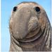 Profile Picture of Ryan Dussault (@Ryan-Dussault) on Facebook
