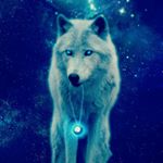 Profile Picture of David Canseco (@david_canseco_11) on Instagram