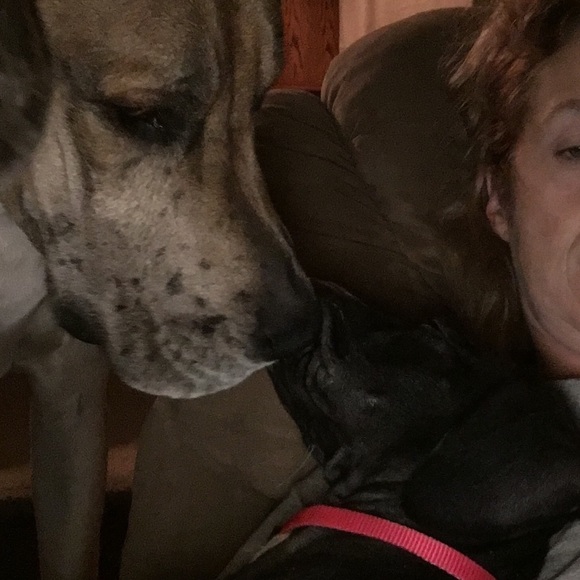 Profile Picture of Dawn Fenton (@dawnfenton) on Poshmark