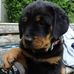 Profile Picture of Eric Almquist (@eric.almquist.33) on Facebook