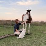 Profile Picture of Martin balestrasse (@martinbalestrasse) on Instagram