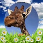 Profile Picture of Jane Perry (@fun_crafty_nutter_) on Instagram