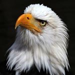 Profile Picture of Jake Lye (@lyejake) on Instagram