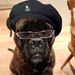Profile Picture of errin green (@erringreen44) on Pinterest