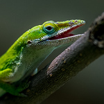 Profile Picture of Jackson (@robert jackson photography) on Flickr