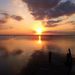 Profile Picture of Caryn SinClair (@tuili) on Pinterest