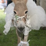 Profile Picture of sharron curtis (@curtissharron) on Instagram