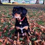 Profile Picture of Winston Williams (@winston.williams.matthews) on Instagram