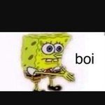 Profile Picture of Stephen Desotell (@disco_randy) on Instagram