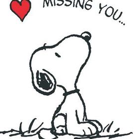 Profile Picture of TarahJames  (@tarahjames500) on Pinterest