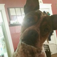 Profile Picture of Jessie Moe (@jessie-moe-1) on Quora