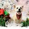 Profile Picture of Phyllis Lindquist (@phyllis.lindquist) on Facebook
