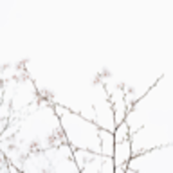 Profile Picture of Mathilda Danisa (@mdanisa2024) on Poshmark