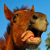 Profile Picture of Isaac Crespo (@isaaccrespo4491) on Youtube