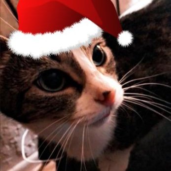 Profile Picture of Brandon (@Amon0666) on Twitter