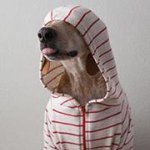 Profile Picture of James McCrimmon (@jamesmccrimmon10) on Instagram