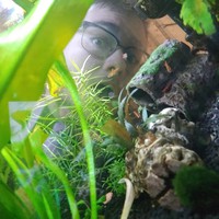 Profile Picture of Nolan Kroeger (@nolan-kroeger) on Quora