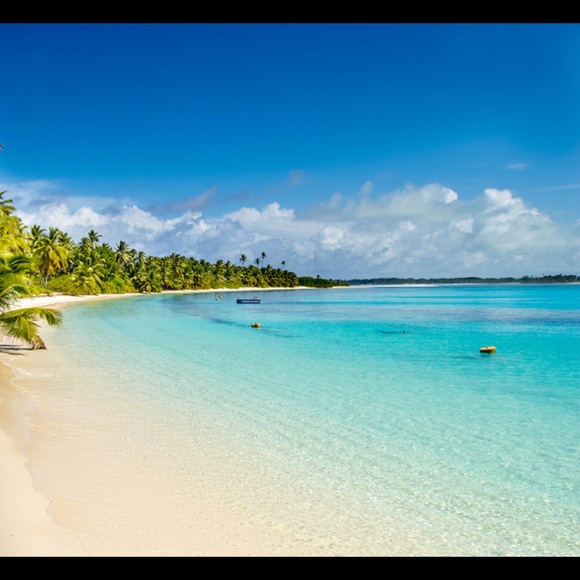 Profile Picture of Anne Carrozziere (@acarrozziere) on Poshmark