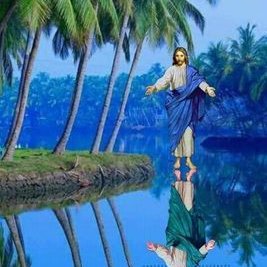 Profile Picture of Norma Matos (@NormaMatos1234) on Twitter