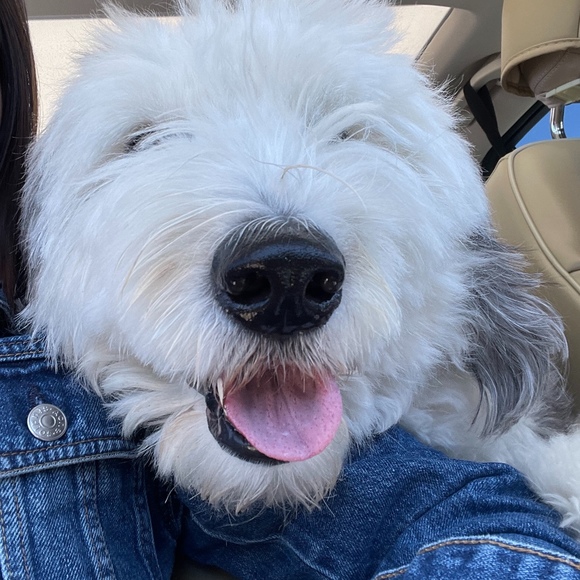 Profile Picture of Ke Wang (@wkkate) on Poshmark