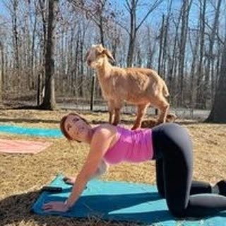 Profile Picture of Melanie Howard (@melanie_howard) on Instagram