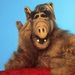Profile Picture of Tony Tschida (@tonytschida5) on Pinterest