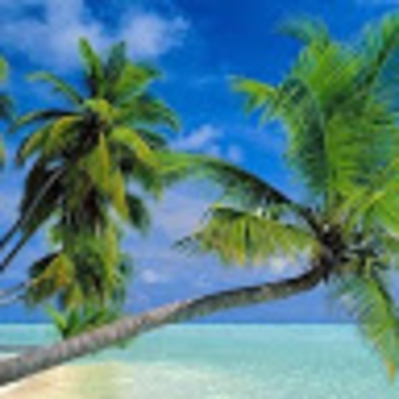 Profile Picture of Samantha Cataneo (@cataneos) on Poshmark