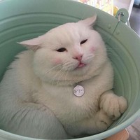 Haley Collier - Quora Profile Picture of Haley Collier (@haley-collier-3) on Quora