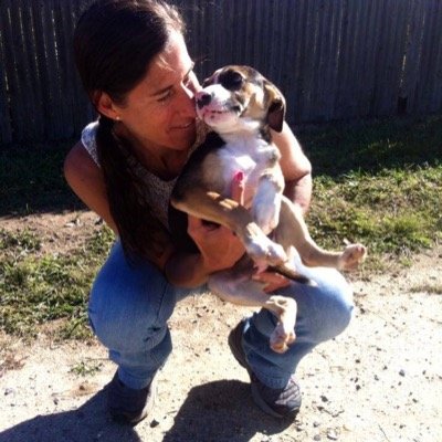 Profile Picture of Mindy Ryan (@OnePuppyAtATime) on Twitter