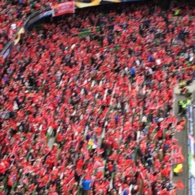 Profile Picture of David Dalton (@david_dalton1) on Twitter