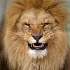 Profile Picture of Peter Plinski (@pplinski) on Instagram