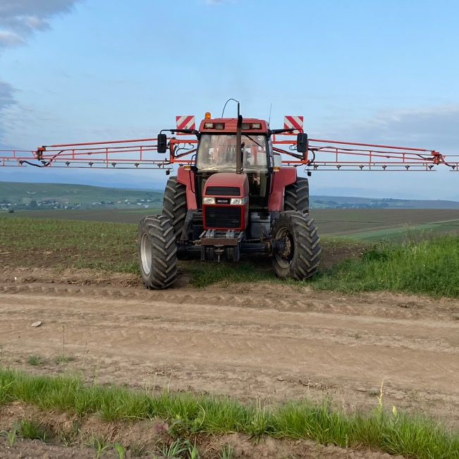 Profile Picture of Robert (@robertbolohan7) on Tiktok