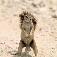 Profile Picture of Doris  Fullmer (@dorfullmer) on Myspace