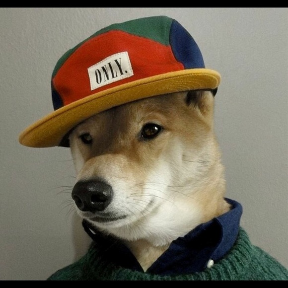 Profile Picture of Blake Pease (@lizardshizard) on Poshmark